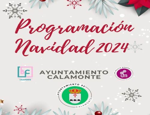 PROGRAMACIÓN NAVIDEÑA 2024